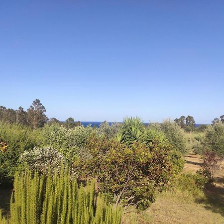 Sa Teria Village - Appartamenti - Tertenìa Exteriér fotografie