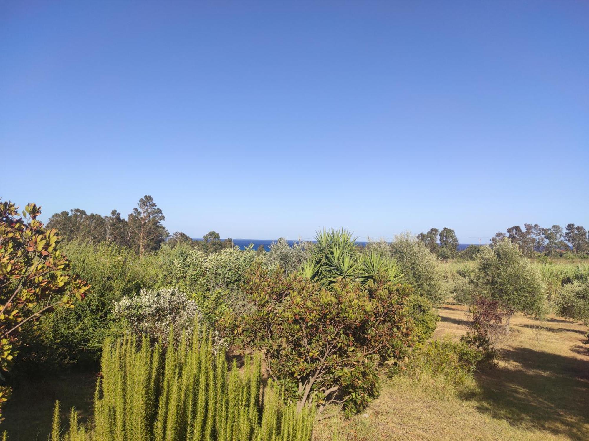 Sa Teria Village - Appartamenti - Tertenìa Exteriér fotografie