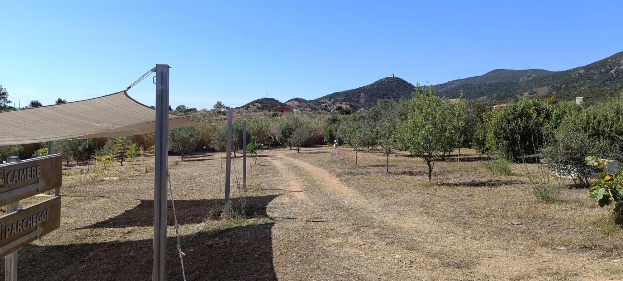 Sa Teria Village - Appartamenti - Tertenìa Exteriér fotografie