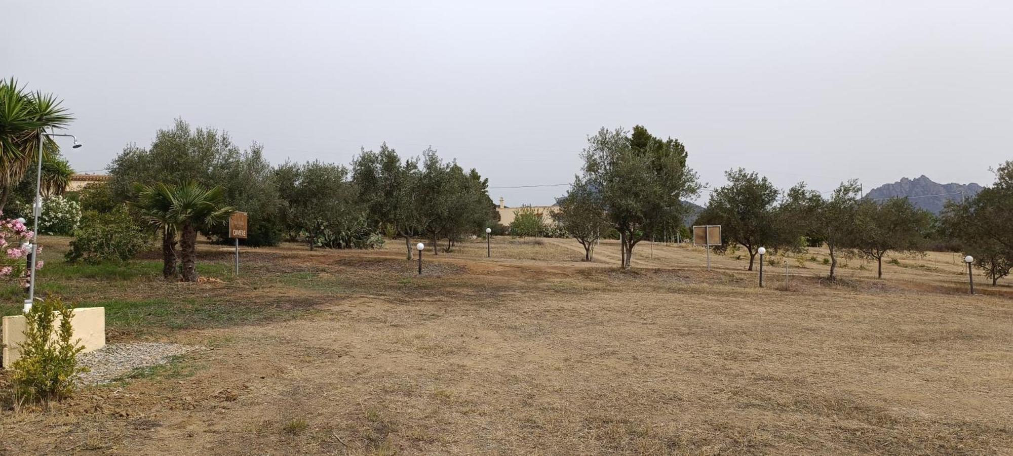 Sa Teria Village - Appartamenti - Tertenìa Exteriér fotografie
