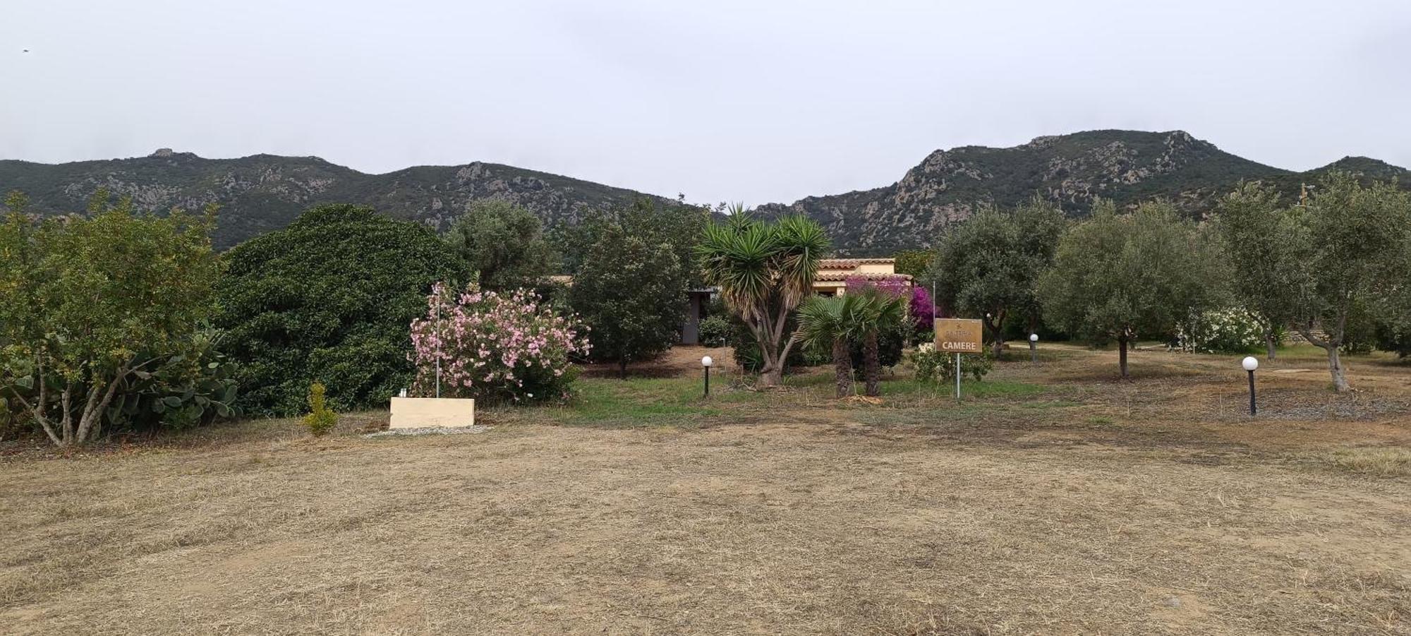 Sa Teria Village - Appartamenti - Tertenìa Exteriér fotografie