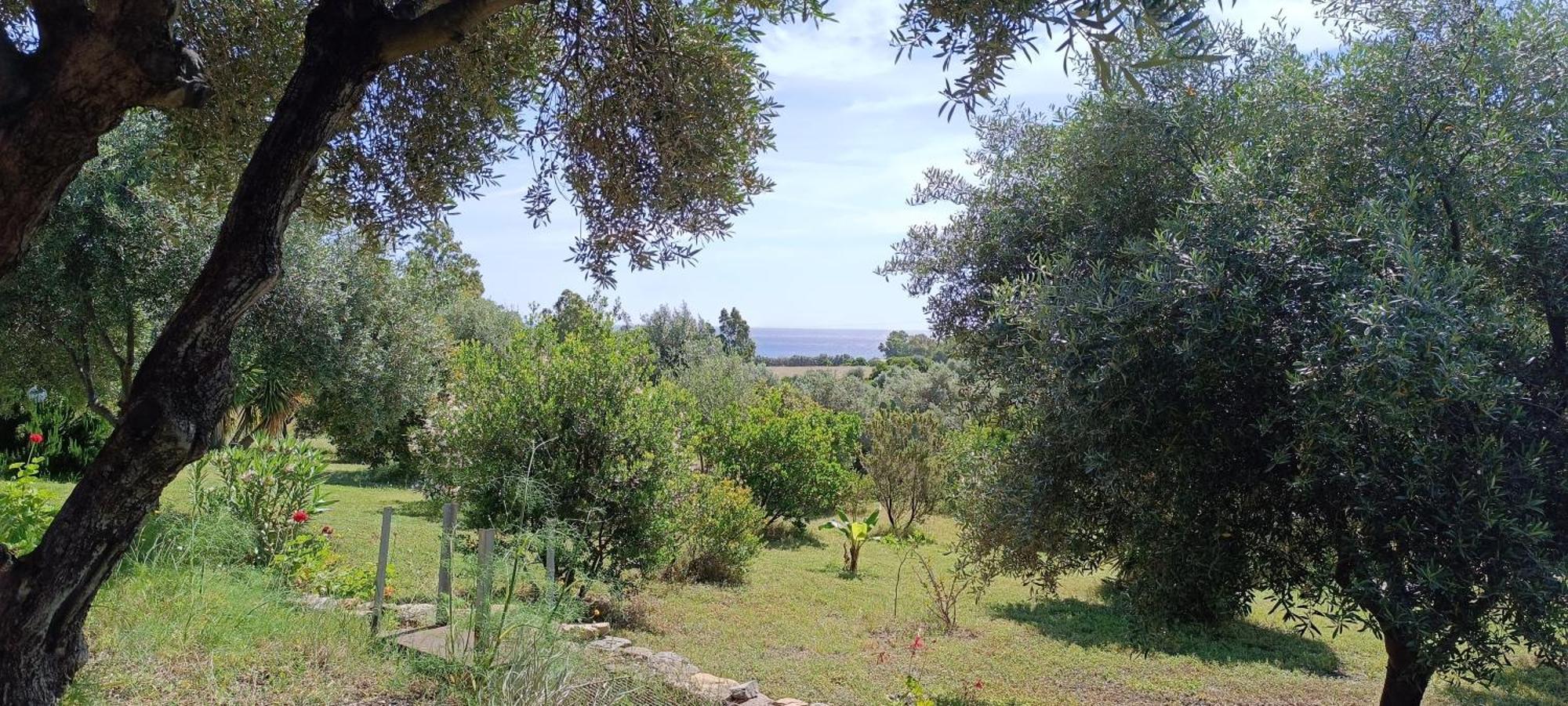 Sa Teria Village - Appartamenti - Tertenìa Exteriér fotografie