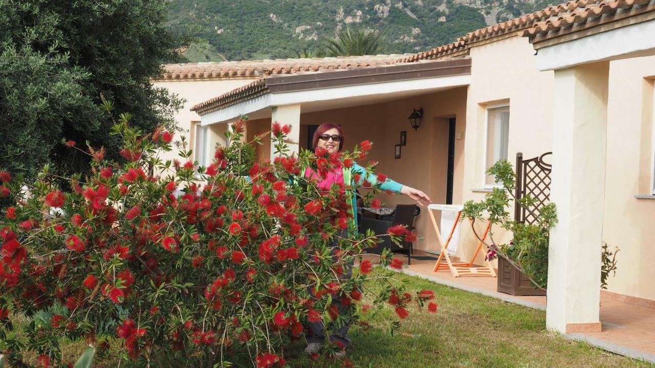 Sa Teria Village - Appartamenti - Tertenìa Exteriér fotografie