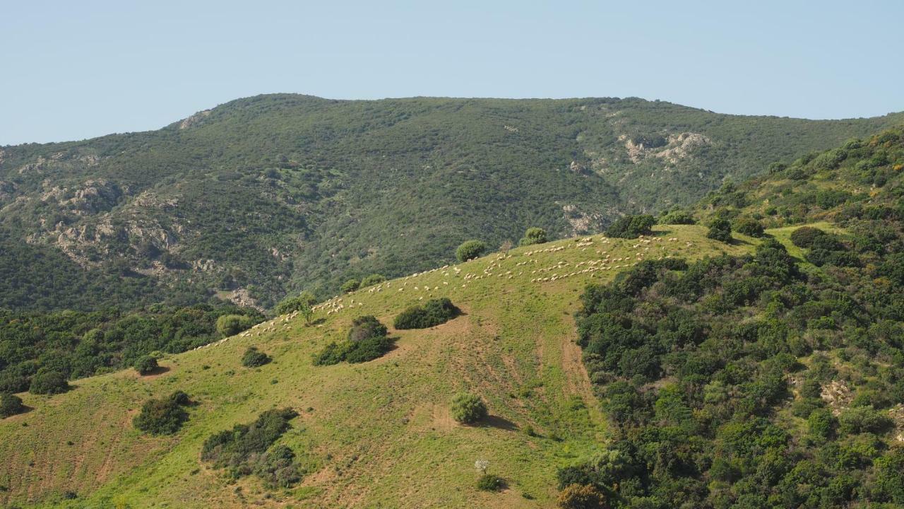 Sa Teria Village - Appartamenti - Tertenìa Exteriér fotografie