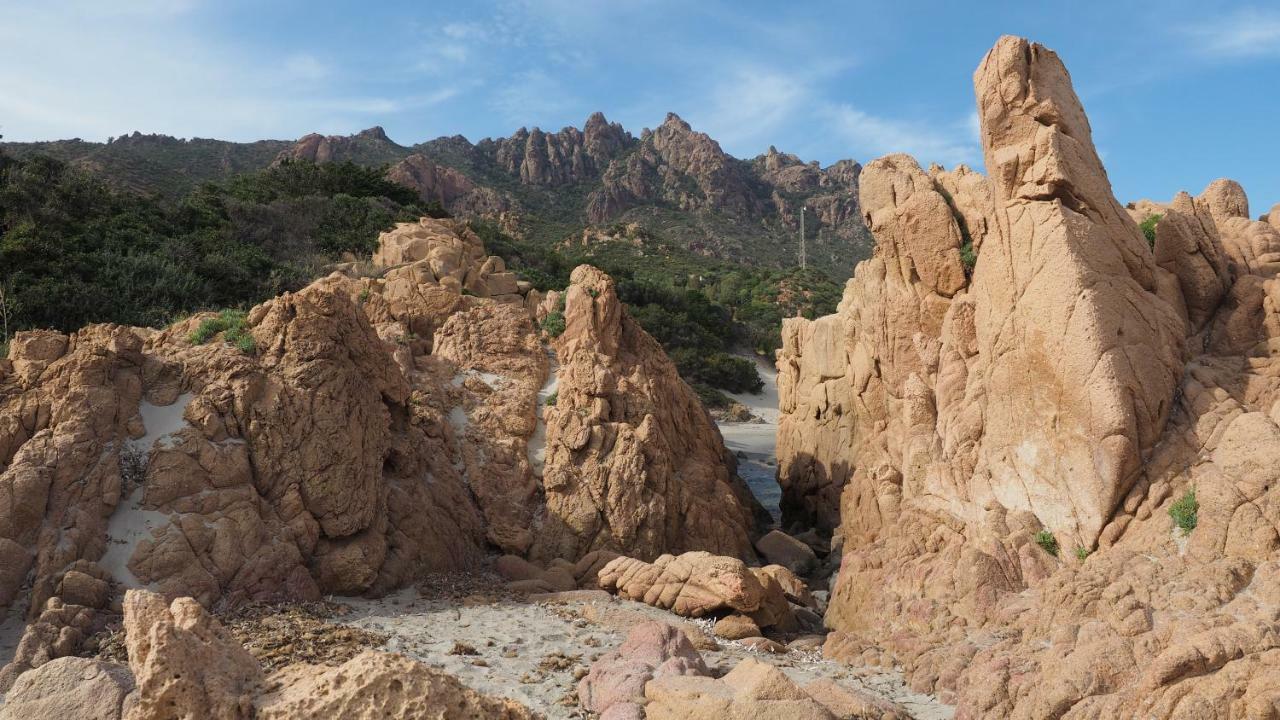 Sa Teria Village - Appartamenti - Tertenìa Exteriér fotografie